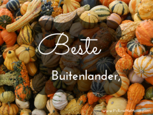 Beste buitenlander